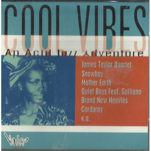 COOL VIBES AN ACID JAZZ ADVENTURE